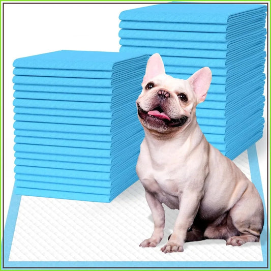 Super Absorbent Dog Training Pads 50 Count Leak Proof