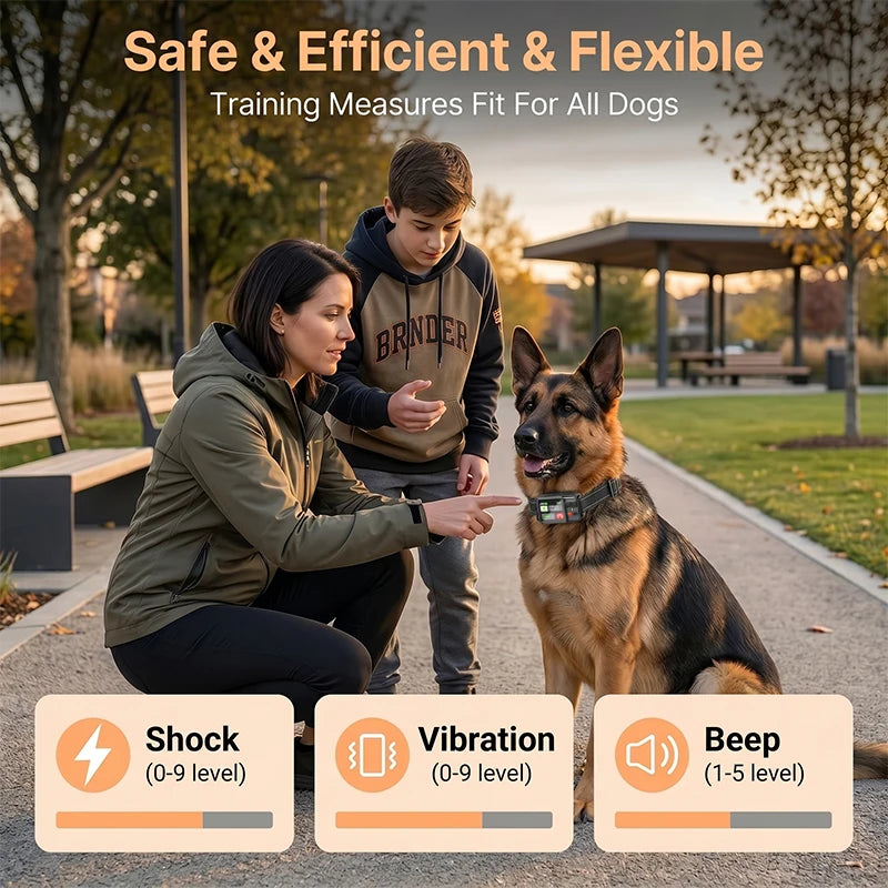 Wireless Dog Training Collar Waterproof Fence With Rechargeable Battery