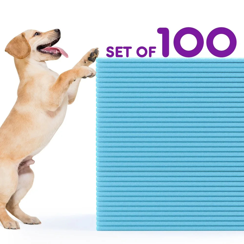 Disposable Dog Pee Pads Super Absorbent Leak Proof Training Pads