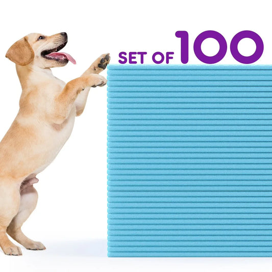 Disposable Dog Pee Pads Super Absorbent Leak Proof Training Pads