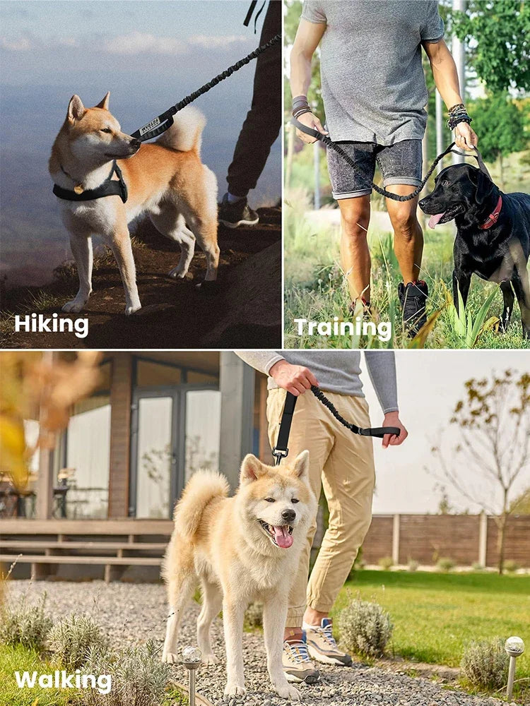 Nylon Adjustable Military Dog Leash With 2 Handles