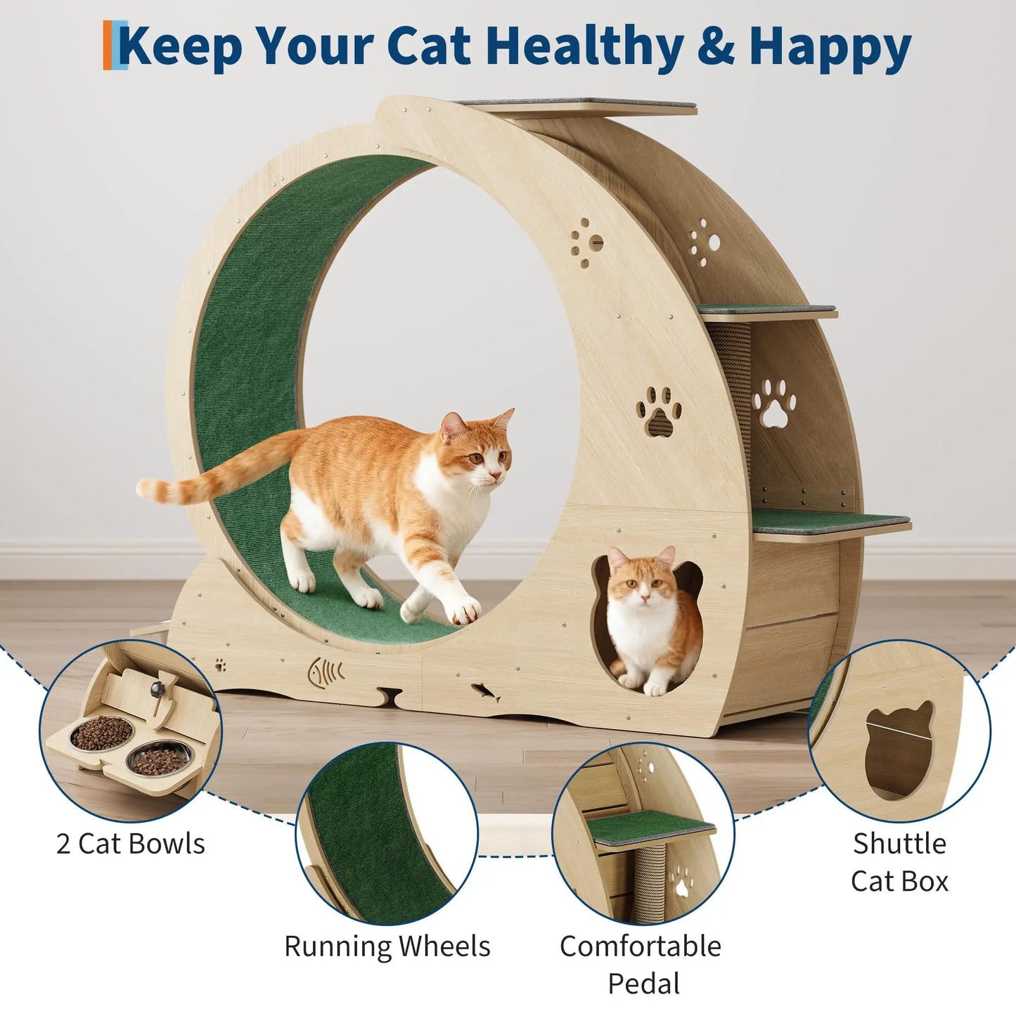 HiMISS 6 in 1 Cat Exercise Wheel Treadmill Bowls Pro