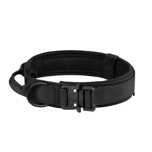 Adjustable Nylon Dog Collar And Leash Set With Control Handle