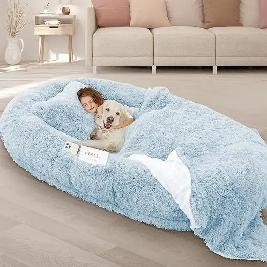 Memory Foam Dog Bed With Pillow And Strap For Pets