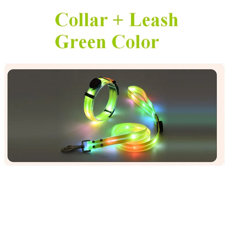 Petguider USB Rechargeable LED Pet Leash With Webbing
