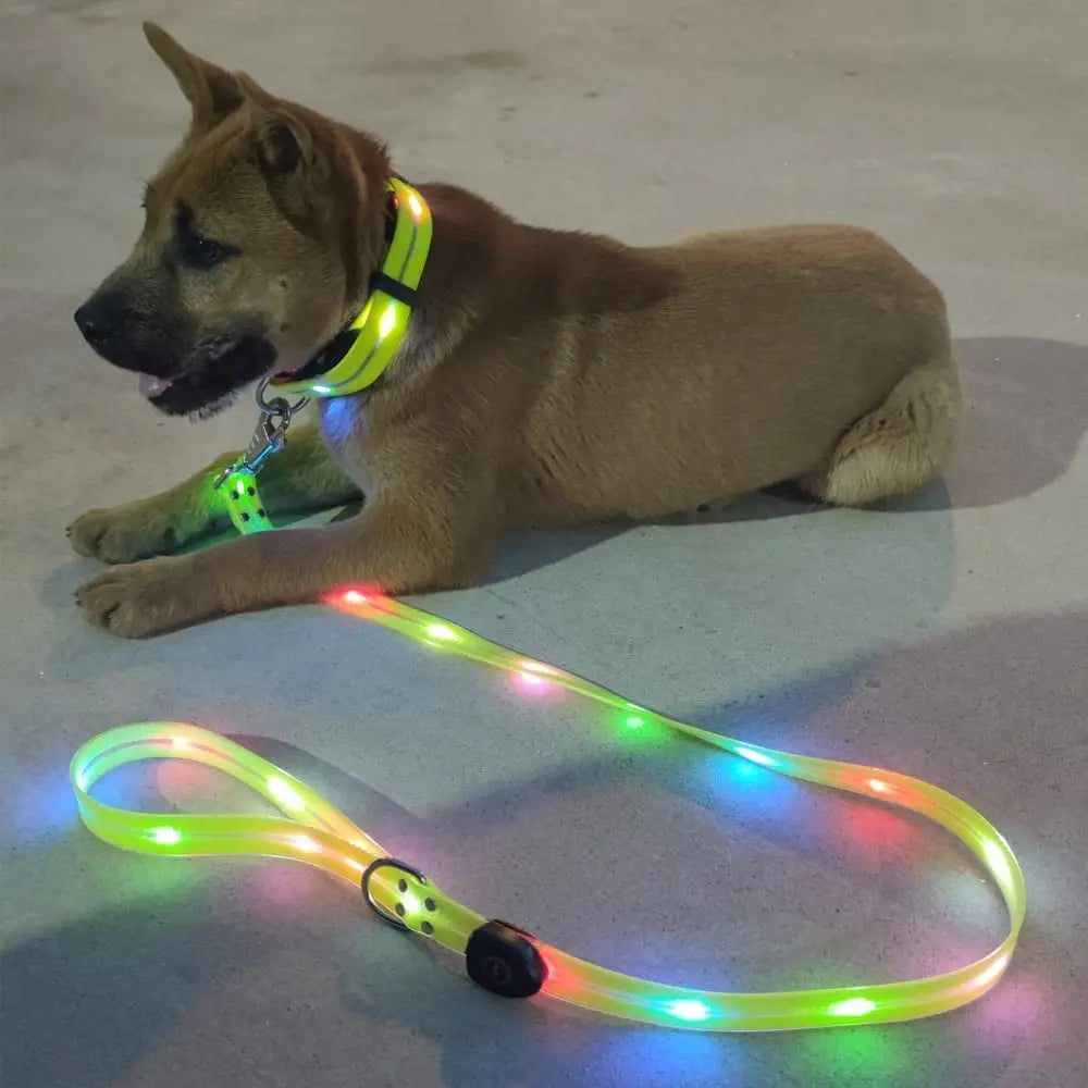 Petguider USB Rechargeable LED Pet Leash With Webbing