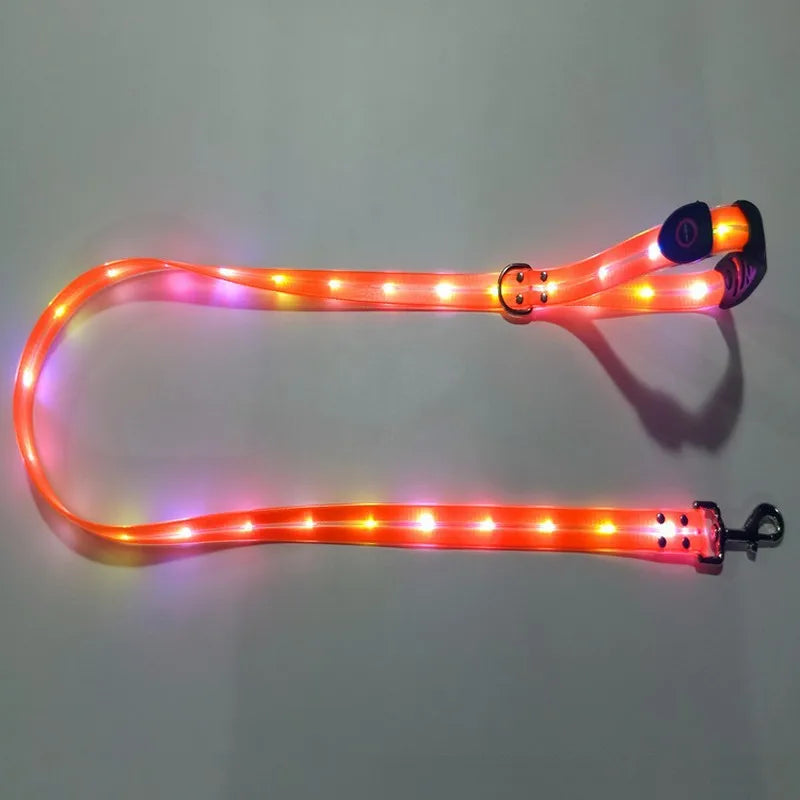 Petguider USB Rechargeable LED Pet Leash With Webbing