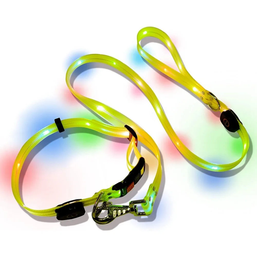 Petguider USB Rechargeable LED Pet Leash With Webbing