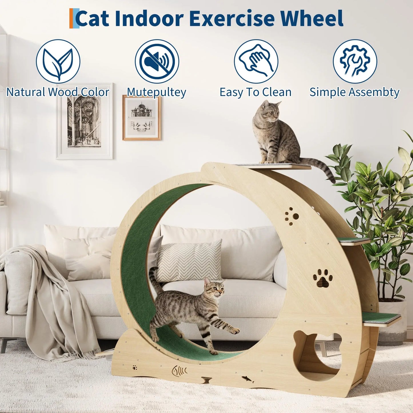 HiMISS 6 in 1 Cat Exercise Wheel Treadmill Bowls Pro