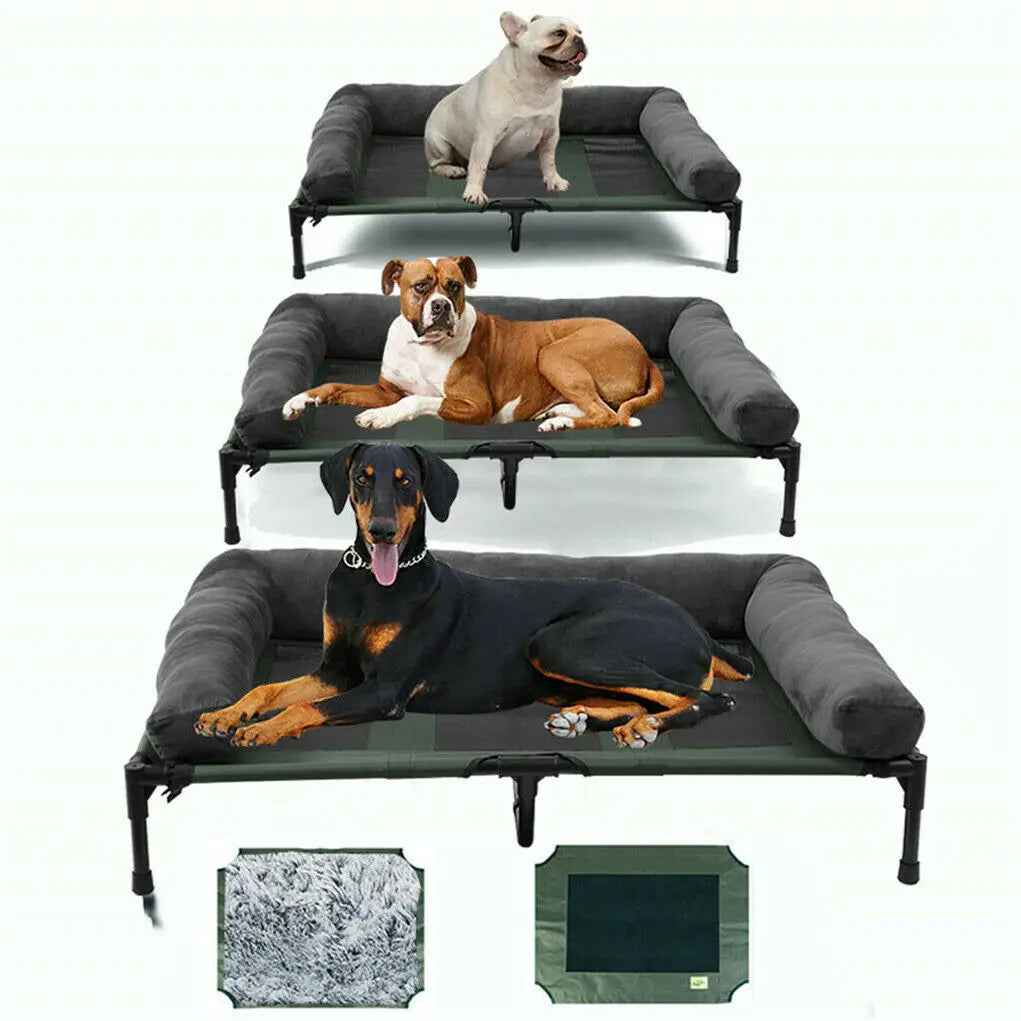 BINGOPAW Elevated Pet Lounger Bed for Dogs and Cats