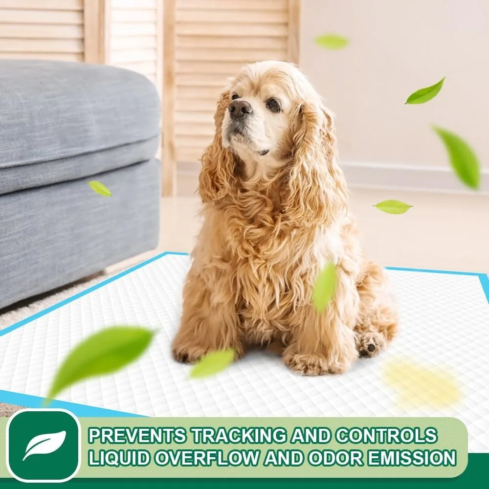 Super Absorbent Dog Training Pads 50 Count Leak Proof