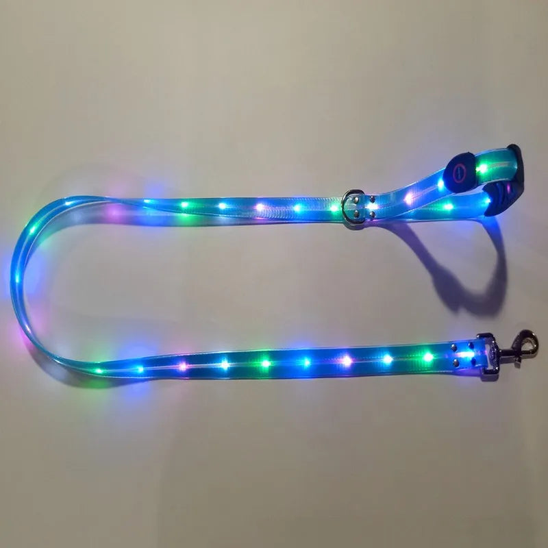 Petguider USB Rechargeable LED Pet Leash With Webbing