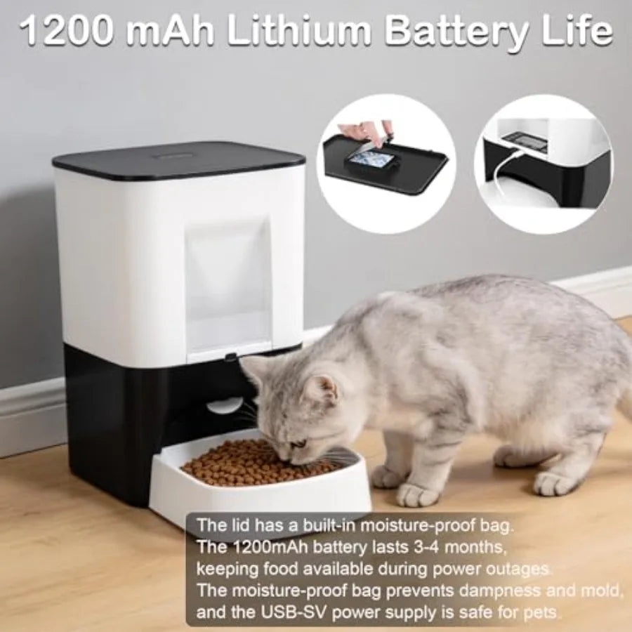 Large Automatic Dog Feeder for Breeds with Voice Recording