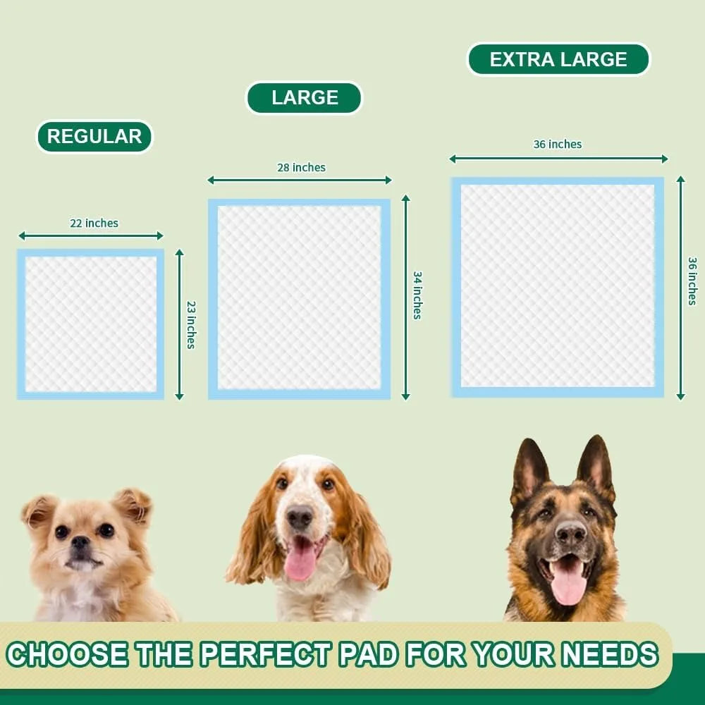 Super Absorbent Dog Training Pads 50 Count Leak Proof