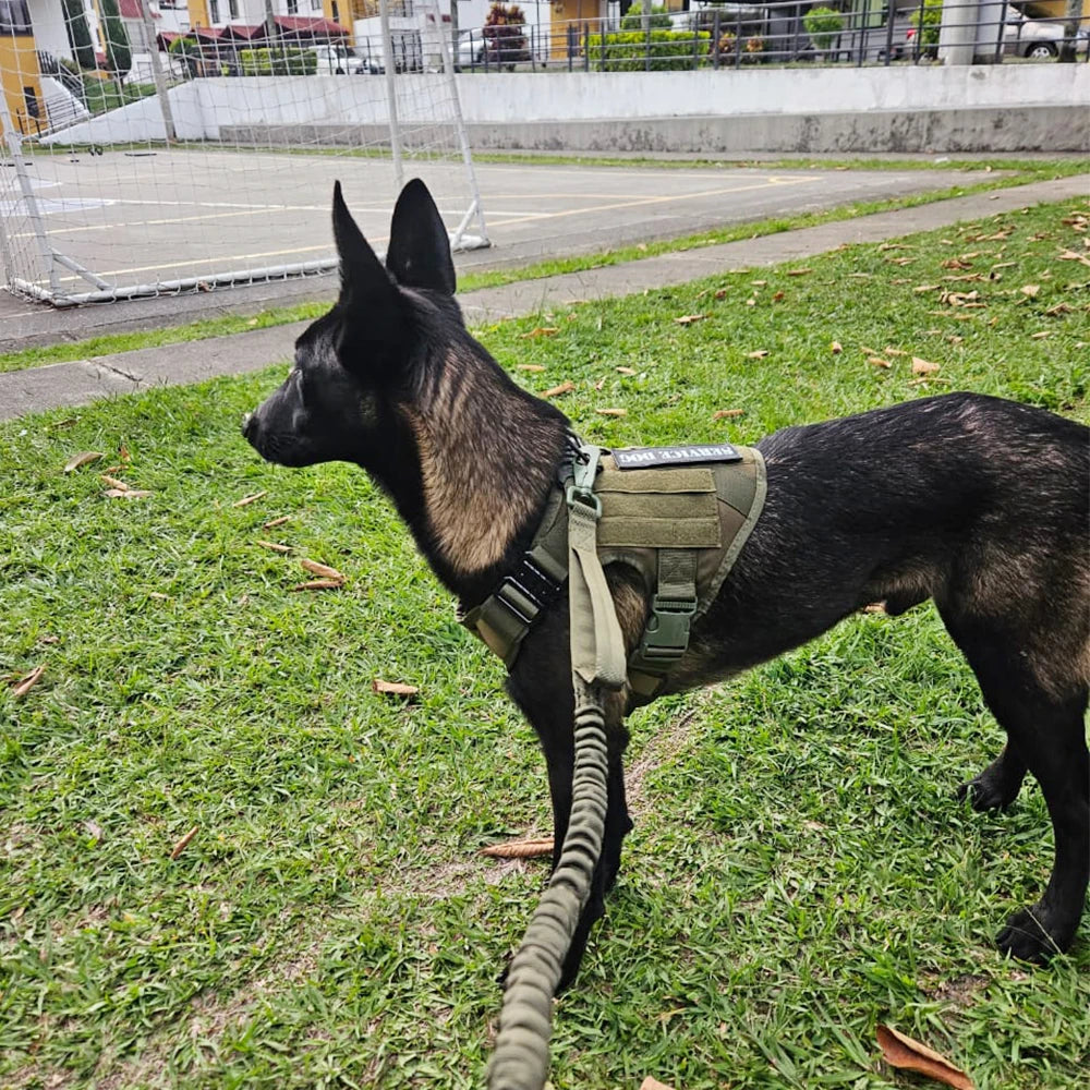 Nylon Tactical Dog Harness Leash Set No Pull Training Military
