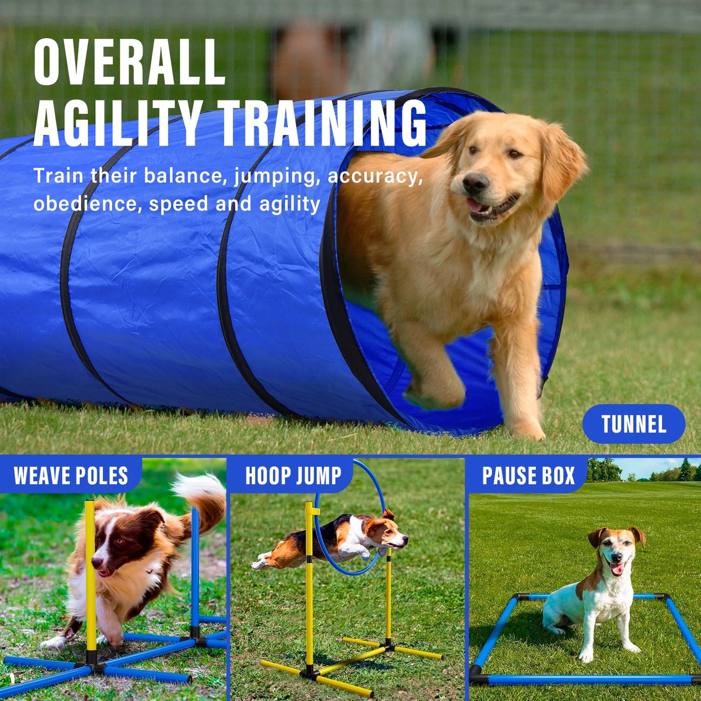 Dog Agility Course Backyard Set Training Kit With Tunnels Hoops