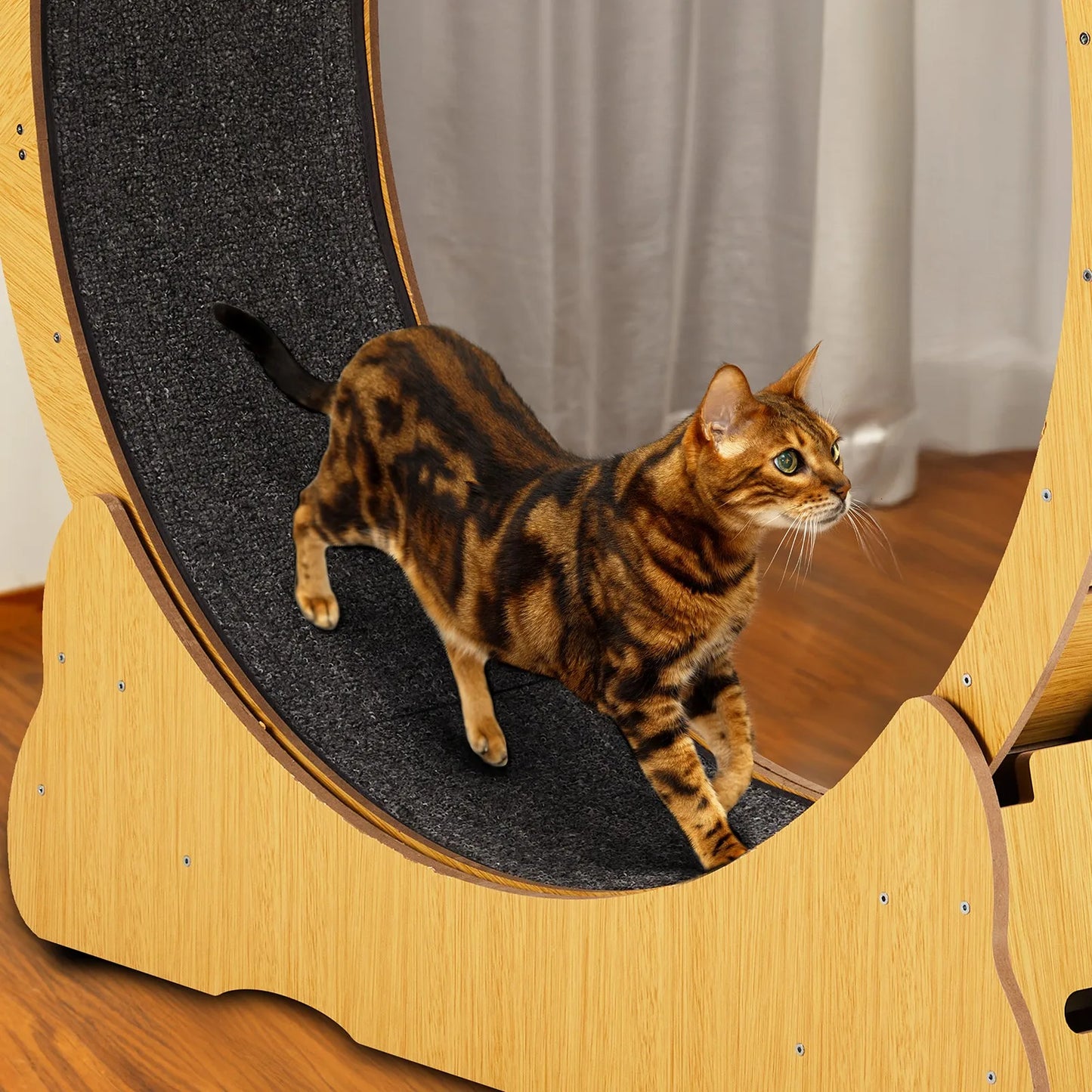 Indoor Cat Treadmill Exerciser Wheel Toy For Active Cats