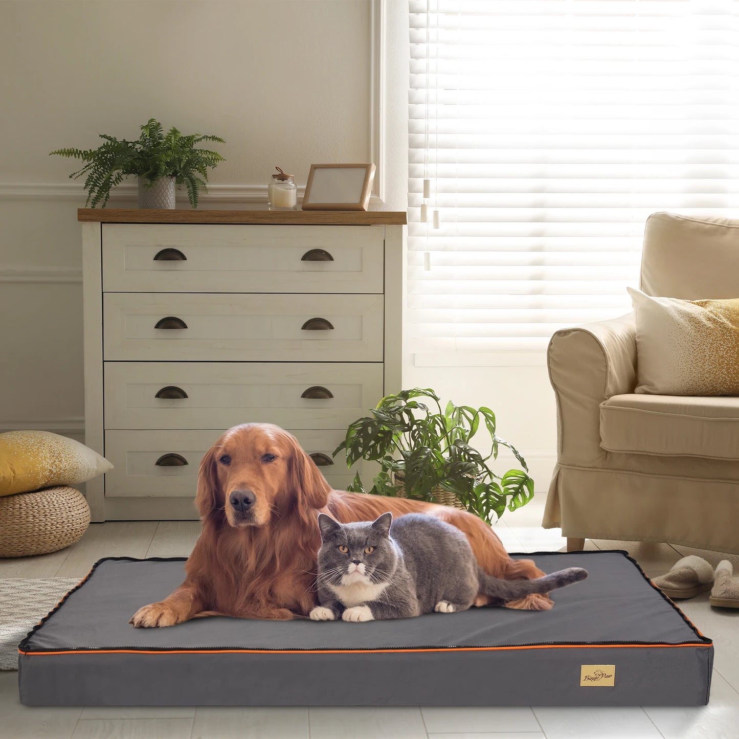 Bingopaw Padded Orthopedic Dog Bed With Removable Washable Cover