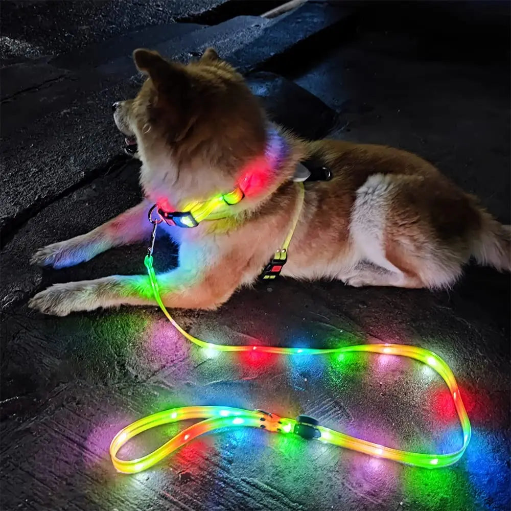 Petguider USB Rechargeable LED Pet Leash With Webbing