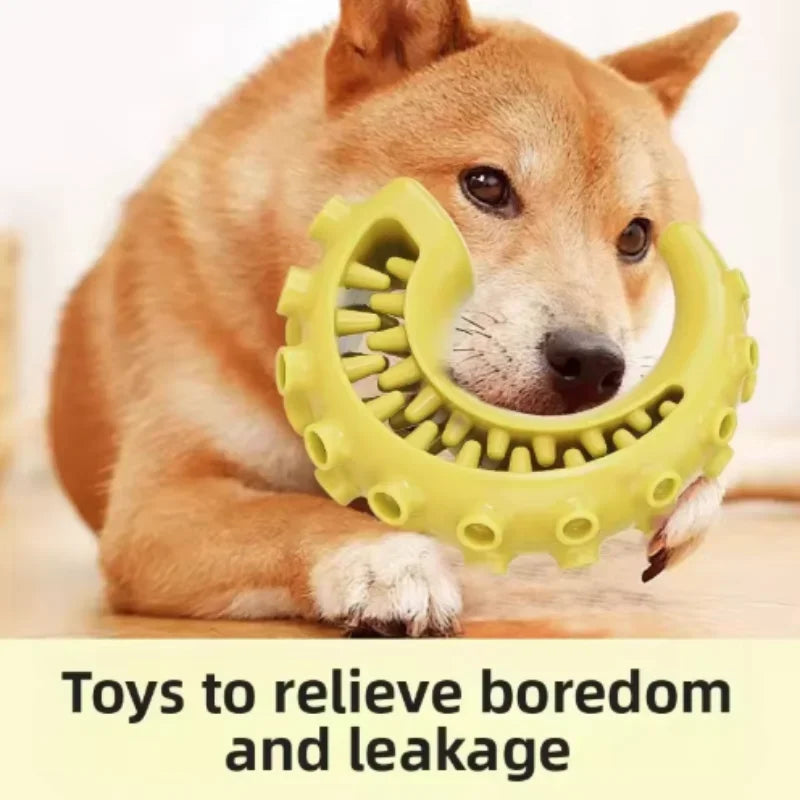 Bite Resistant Nylon Dog Teething Chew Toy Stick