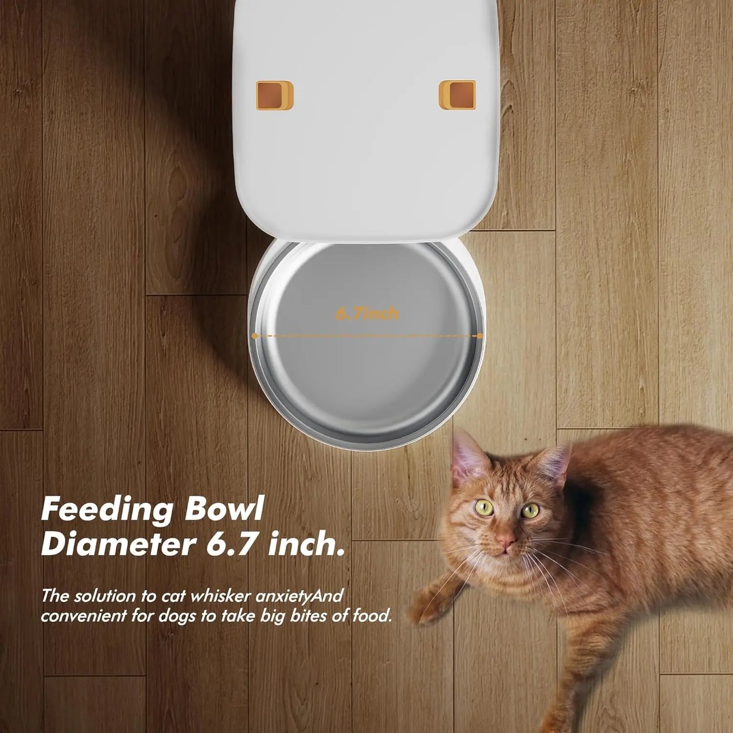 Nityers Automatic Cat Feeder With Timed Dispenser And Key Control