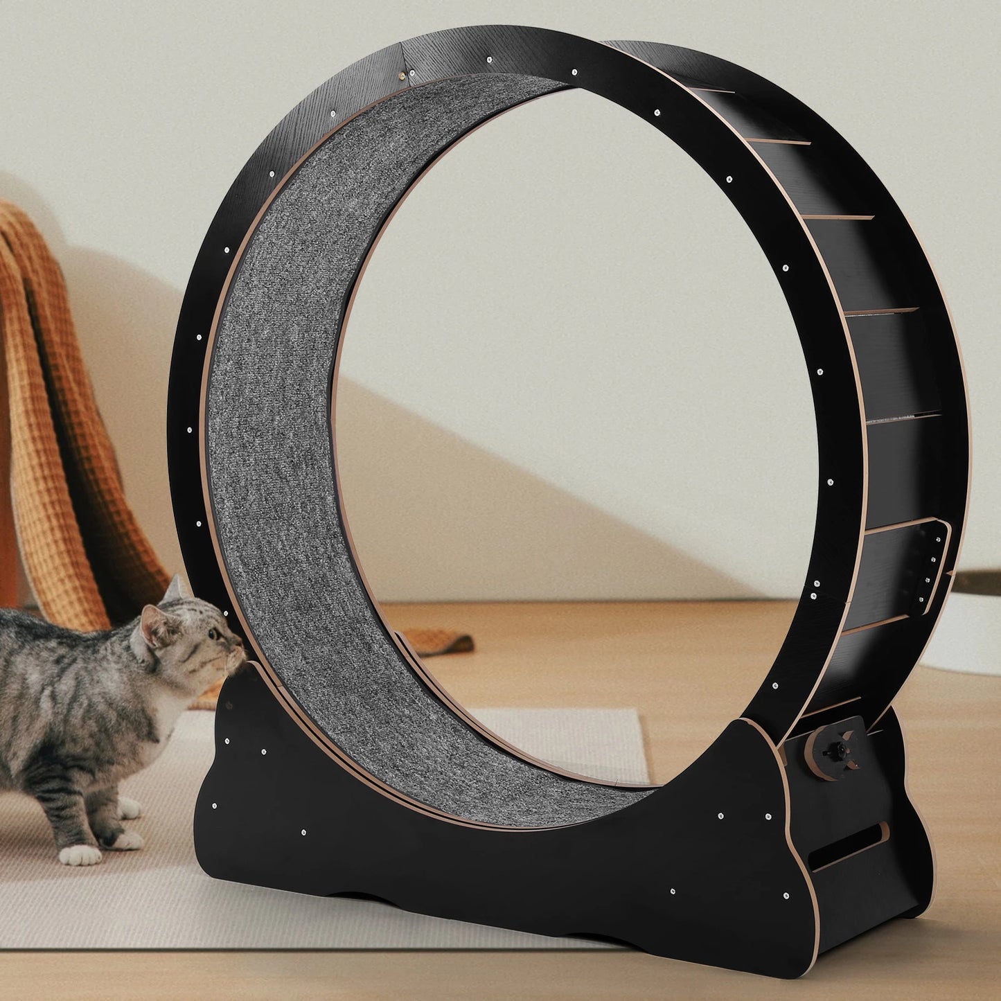 Large 43 Inch Silent Cat Exercise Running Wheel