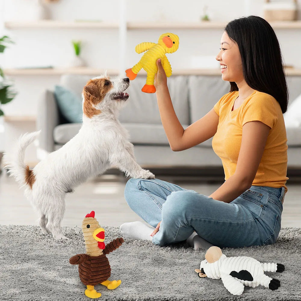 5 Pack Plush Squeaky Dog Toys Variety Bundle