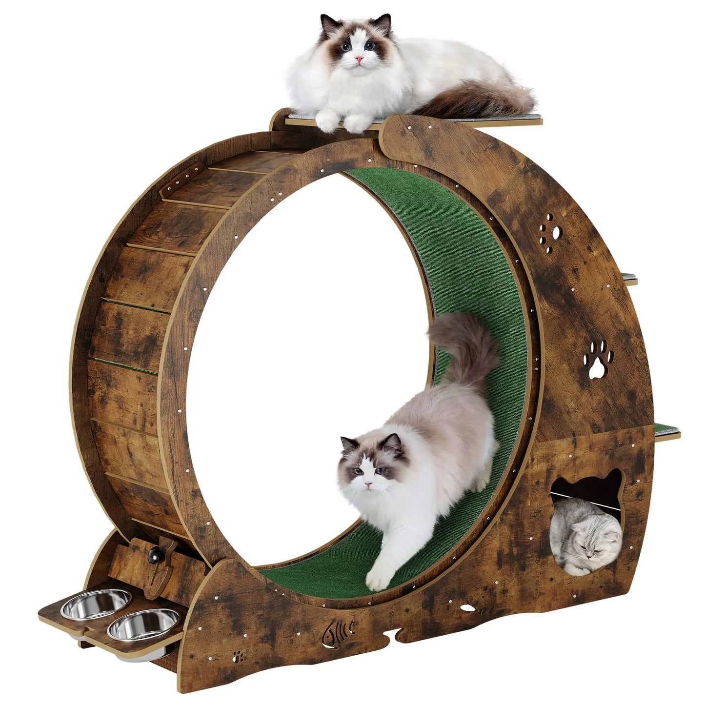HiMISS 6 in 1 Cat Exercise Wheel Treadmill Bowls Pro