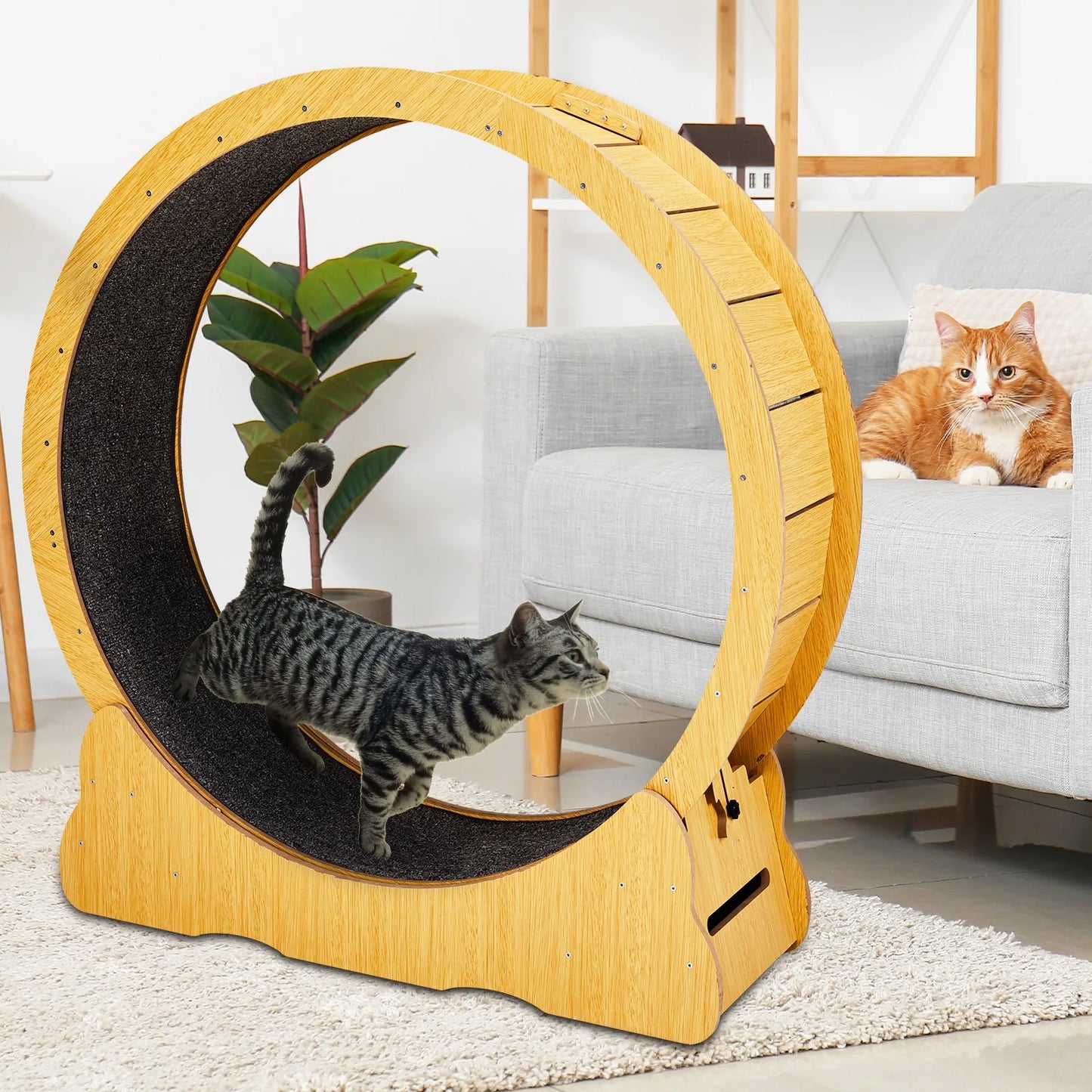 Indoor Cat Treadmill Exerciser Wheel Toy For Active Cats