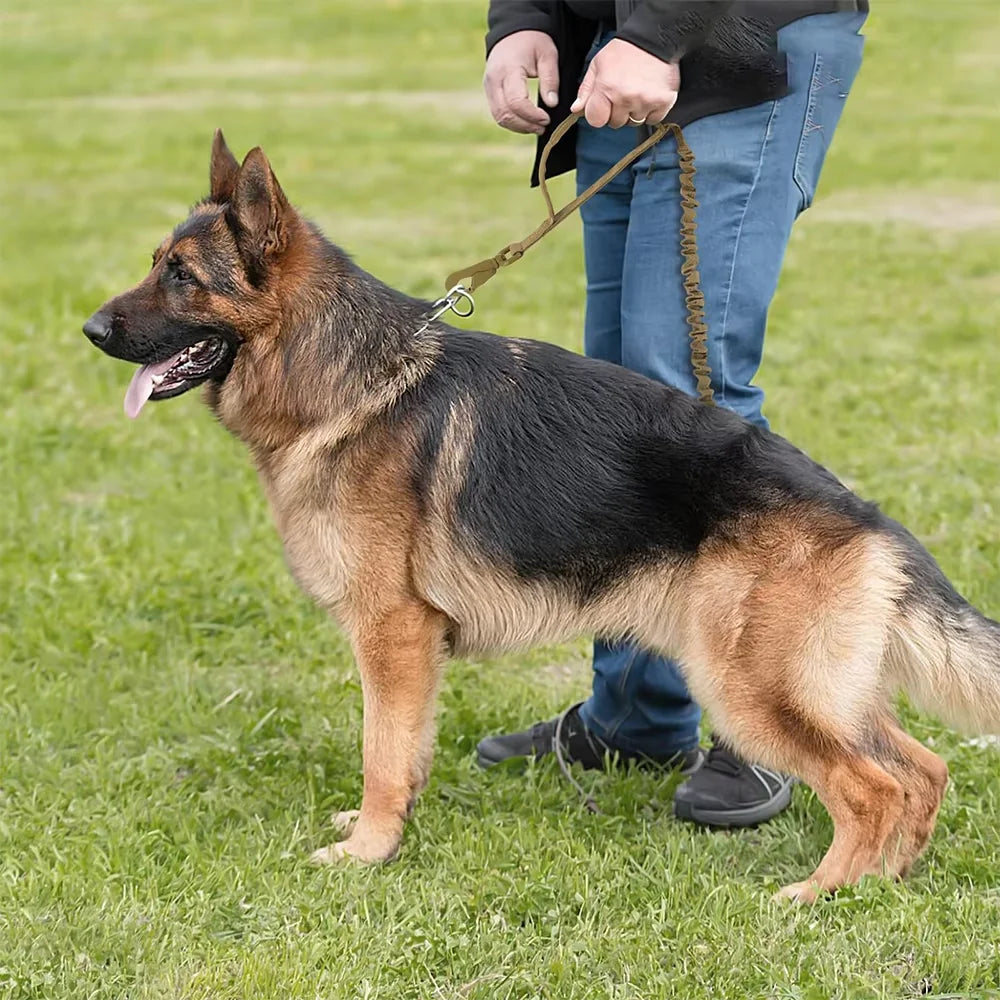 Nylon Adjustable Military Dog Leash With 2 Handles