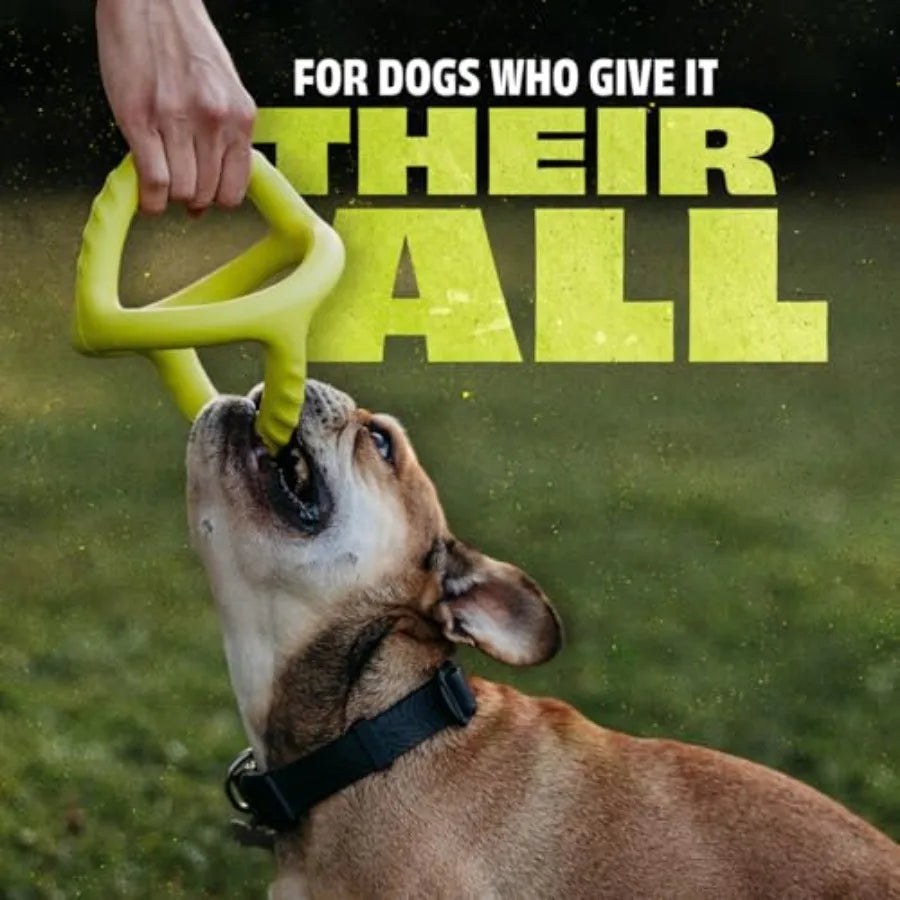 Durable Dog Chew Toy For Aggressive Chewers Real Bacon