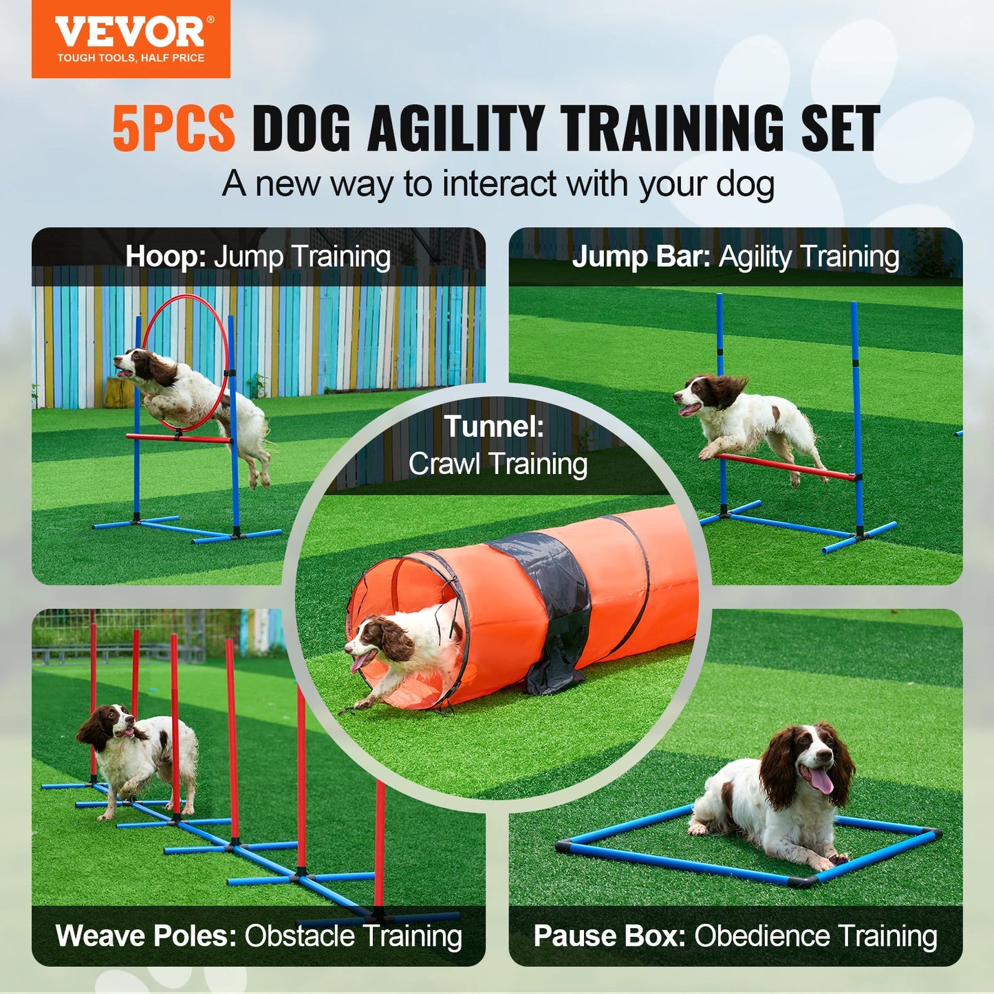 SucceBuy 5-Piece Adjustable Dog Agility Training Equipment Set