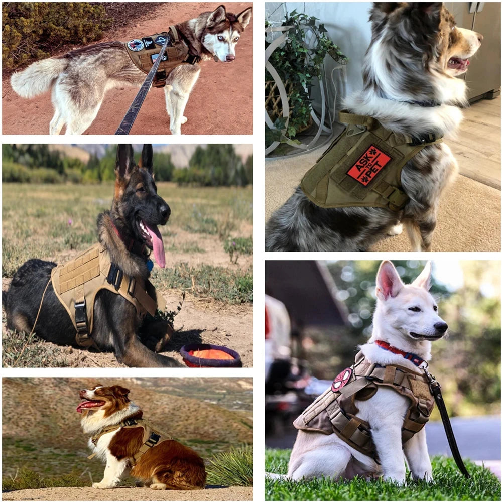 Military Nylon Dog Harness Vest With Leash Patches Training Set