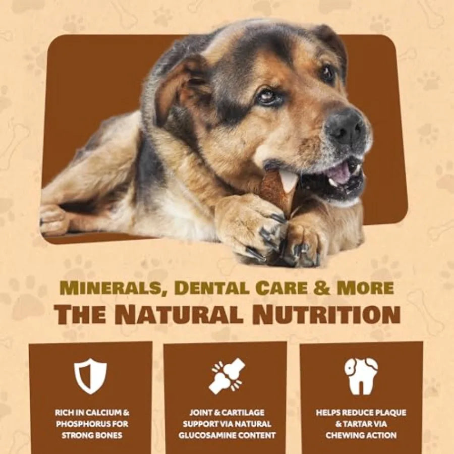 YAO HUI HUANG Elk Antler Chews Aggressive Chewers Natural