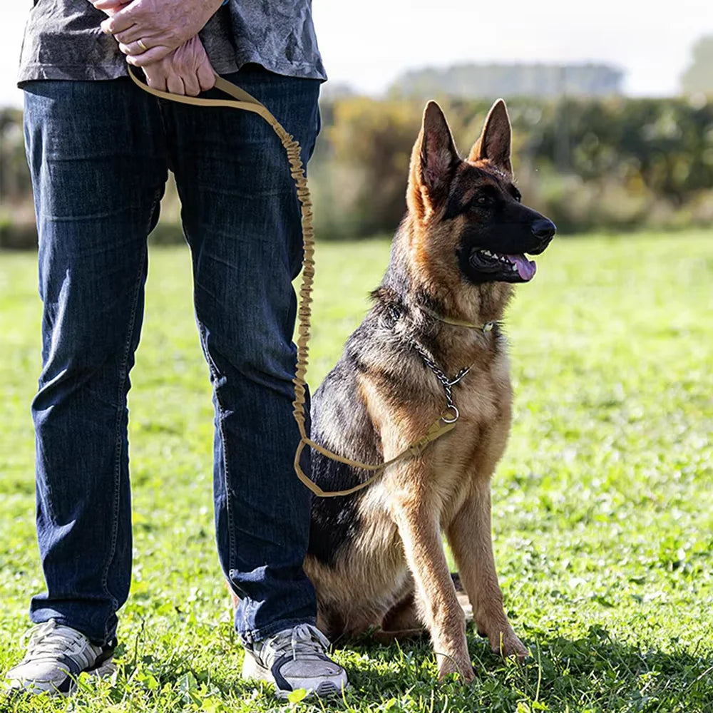 Nylon Adjustable Military Dog Leash With 2 Handles