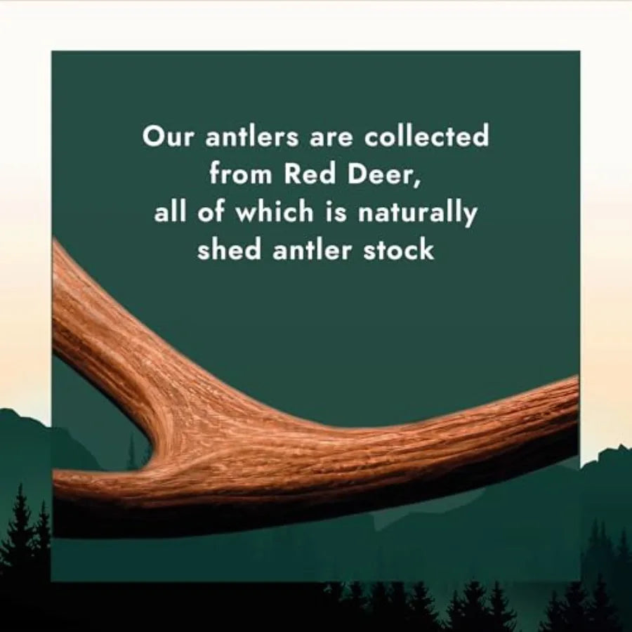 Yao Hui Huang Natural Deer Antler Chews For Aggressive Dogs