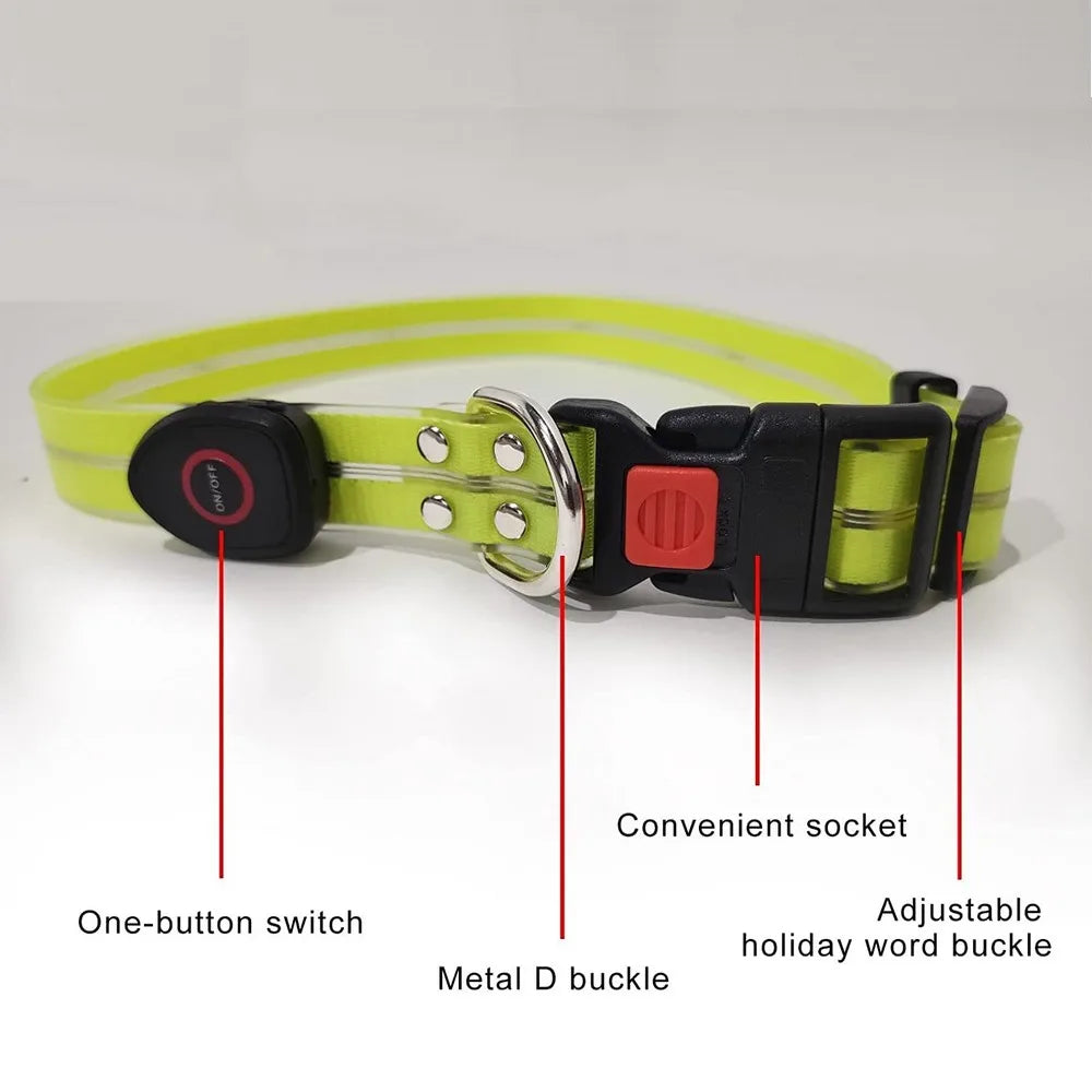 Petguider USB Rechargeable LED Pet Leash With Webbing