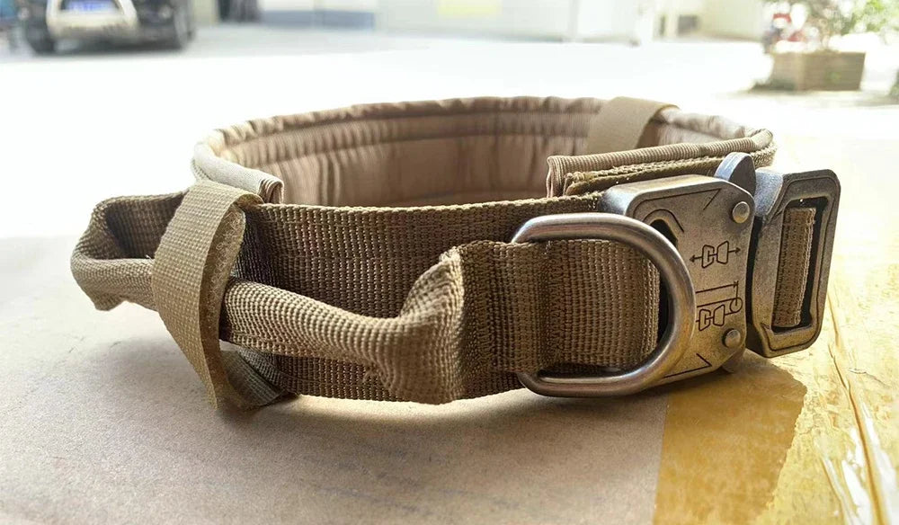 Adjustable Nylon Dog Collar And Leash Set With Control Handle