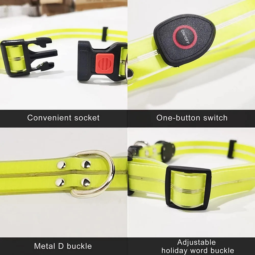 Petguider USB Rechargeable LED Pet Leash With Webbing