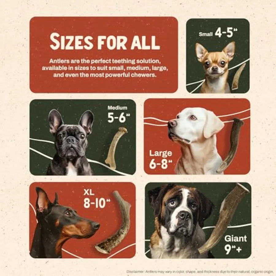 YAO HUI HUANG Deer Antlers Dog Chews For Aggressive Chewers