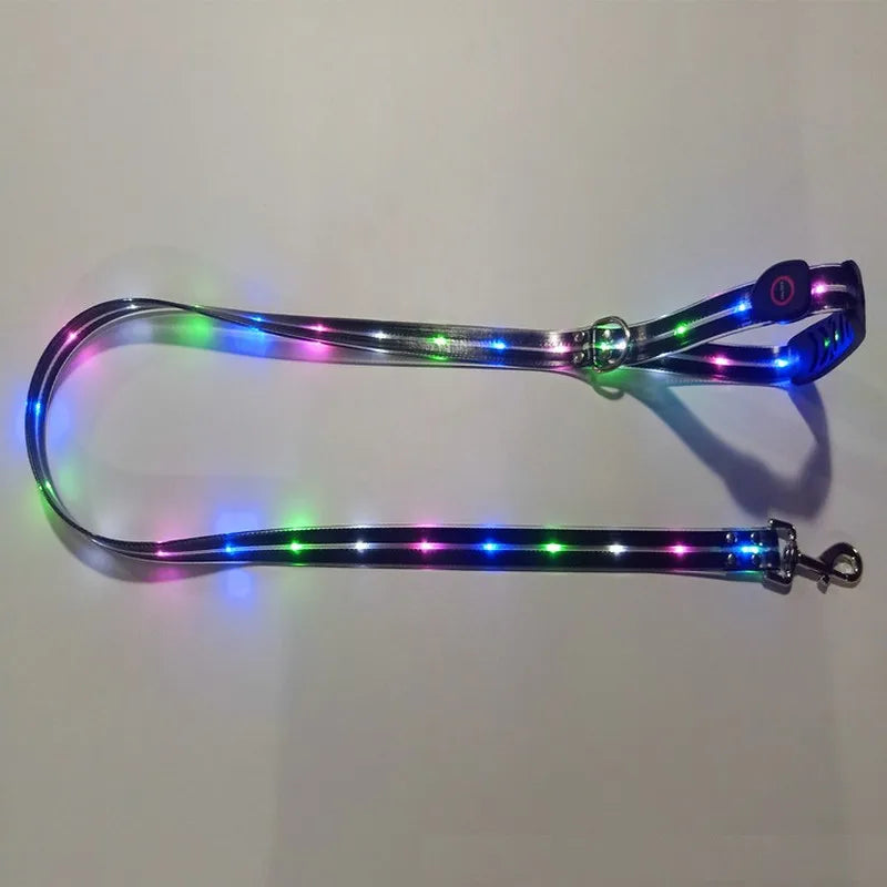 Petguider USB Rechargeable LED Pet Leash With Webbing