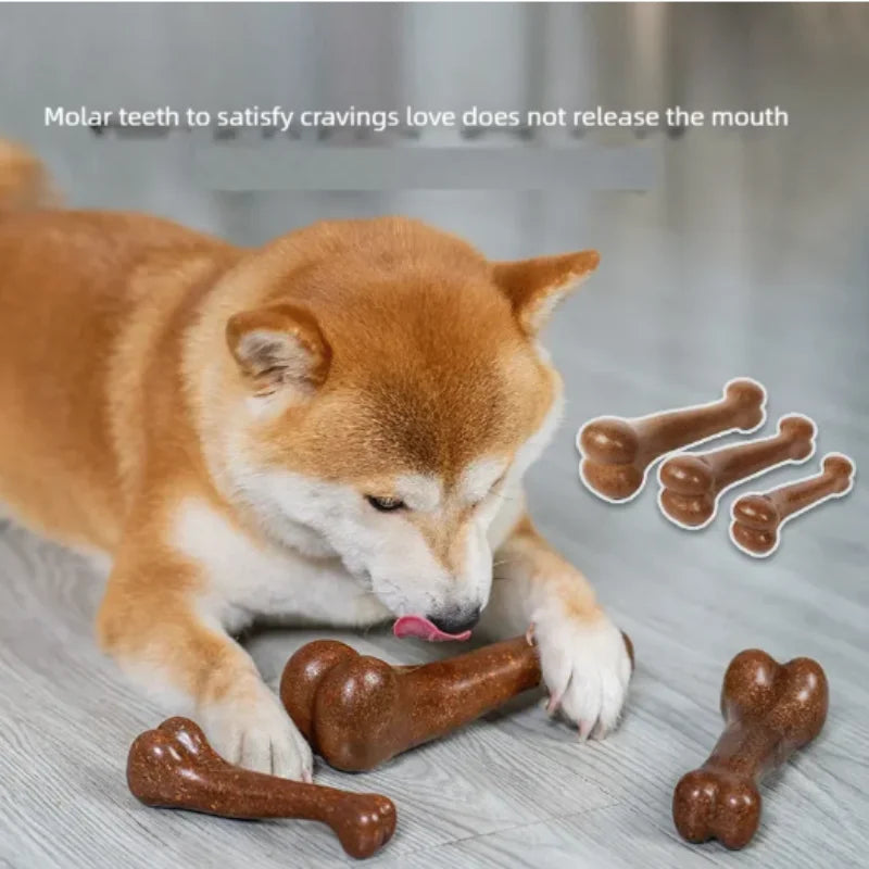 Natural Non Toxic Dog Bone Chew Toy Indestructible Anti Bite