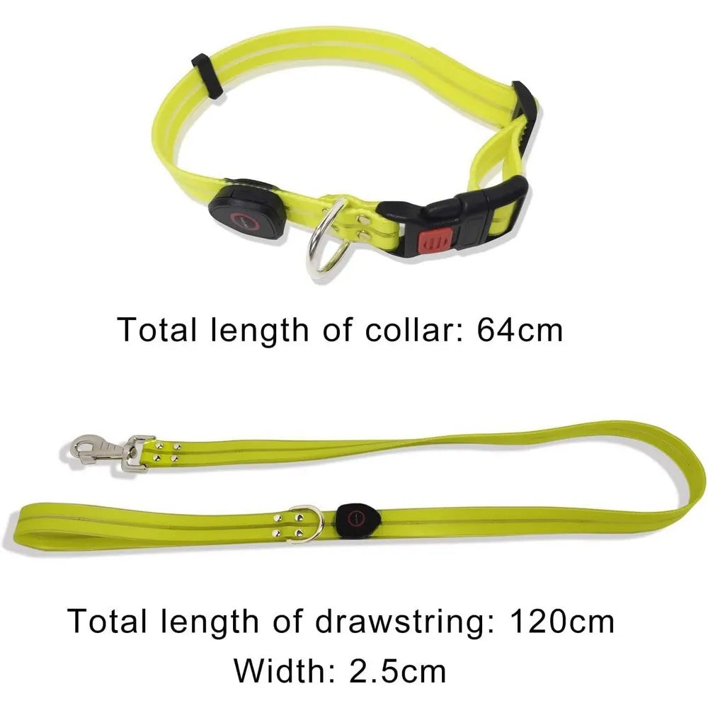Petguider USB Rechargeable LED Pet Leash With Webbing