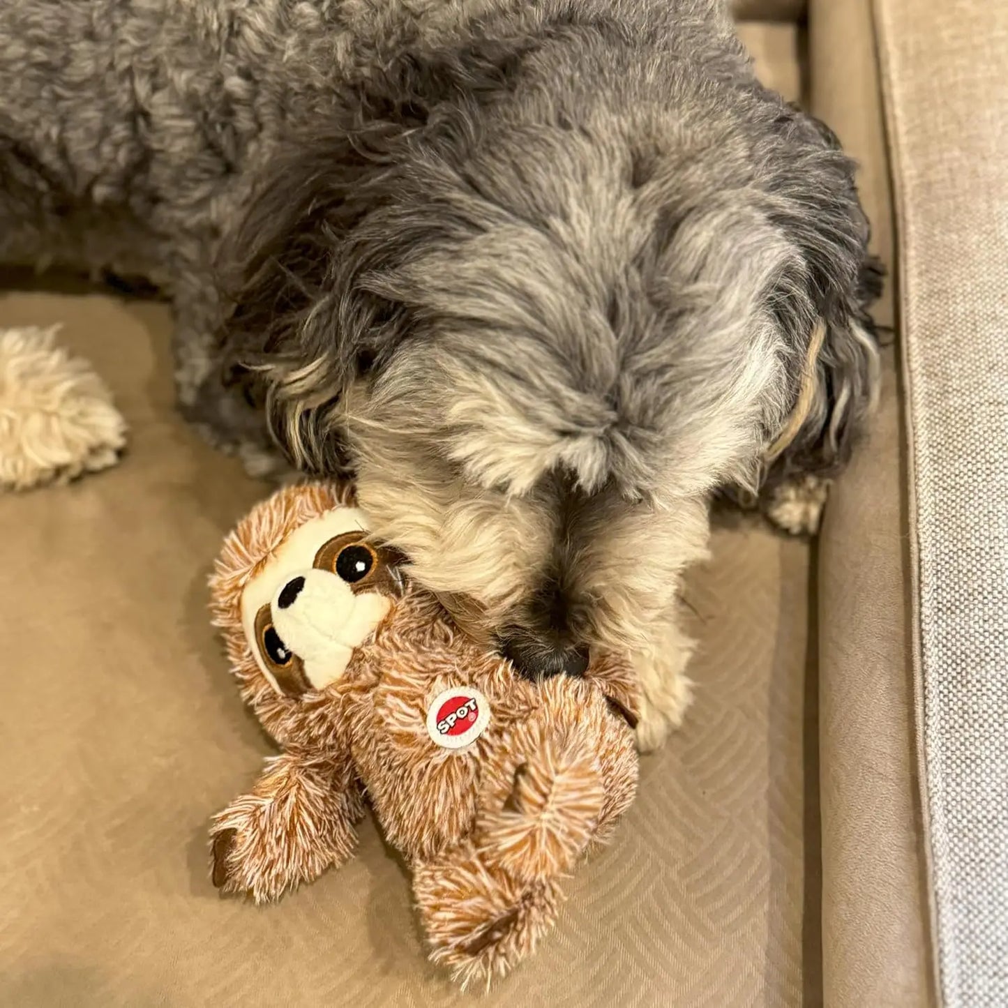 Sloth Dog Toy Squeaky Plush for Small Dogs
