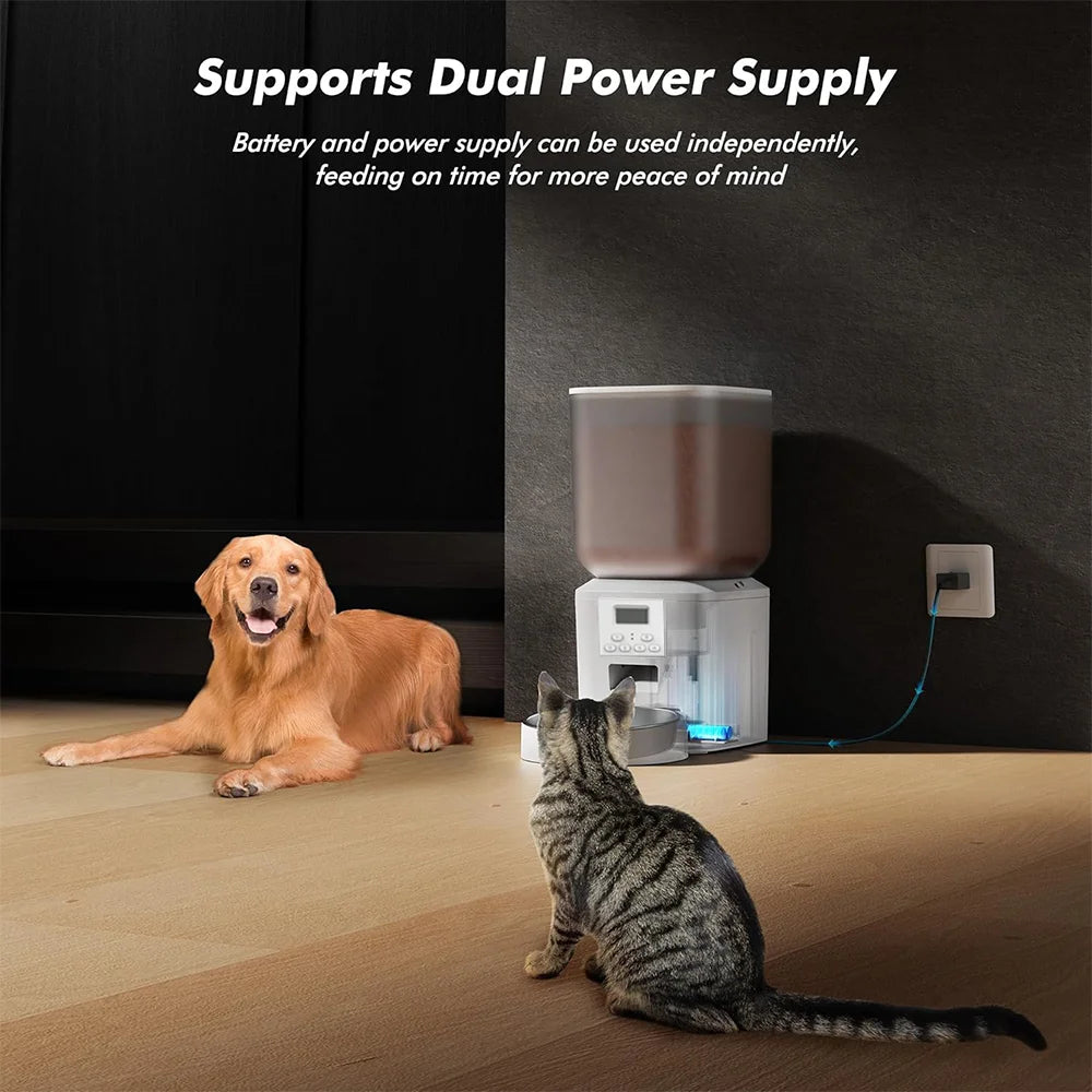 Nityers Automatic Cat Feeder With Timed Dispenser And Key Control